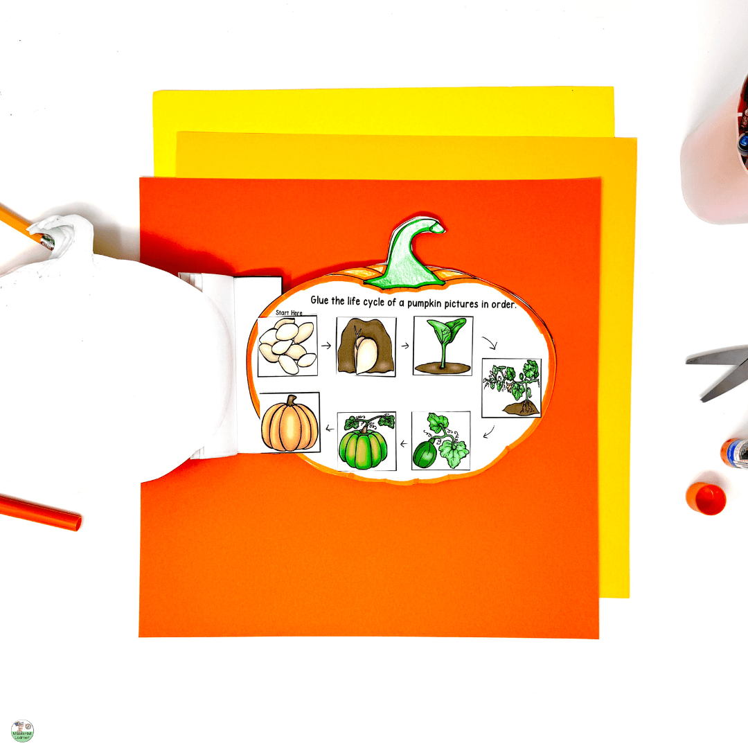 Pumpkin activities for upper elementary pumpkin life cycle picture