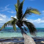 Fantastic Photogenic Fiji – Viti Levu & Yasawas