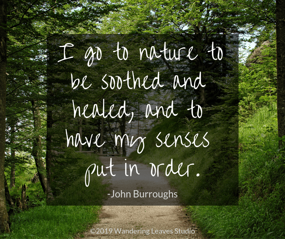 A Nature Hike Improves Mental Health Wandering Leaves Studio