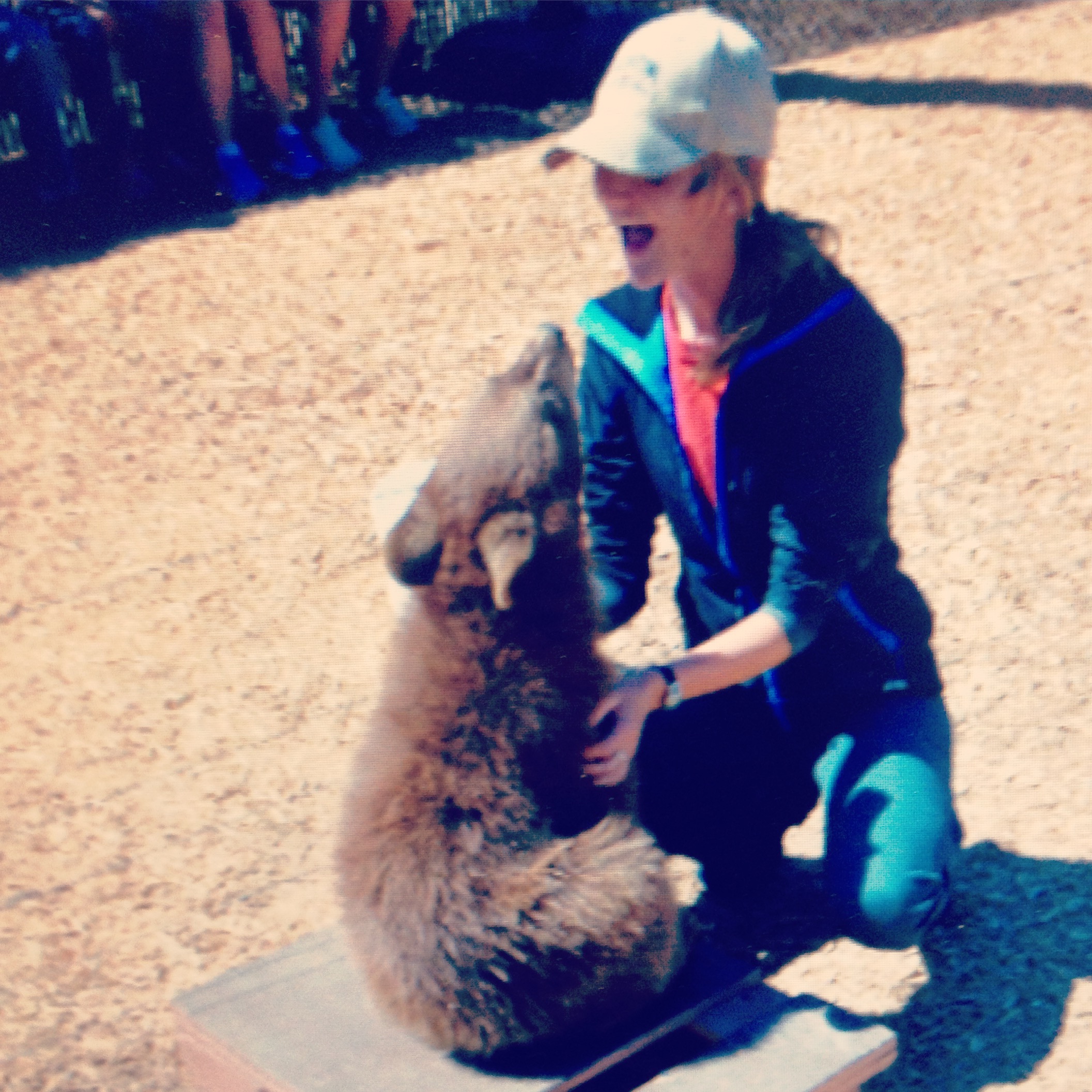 Maggie in July last year. How can you not want to come back to this??