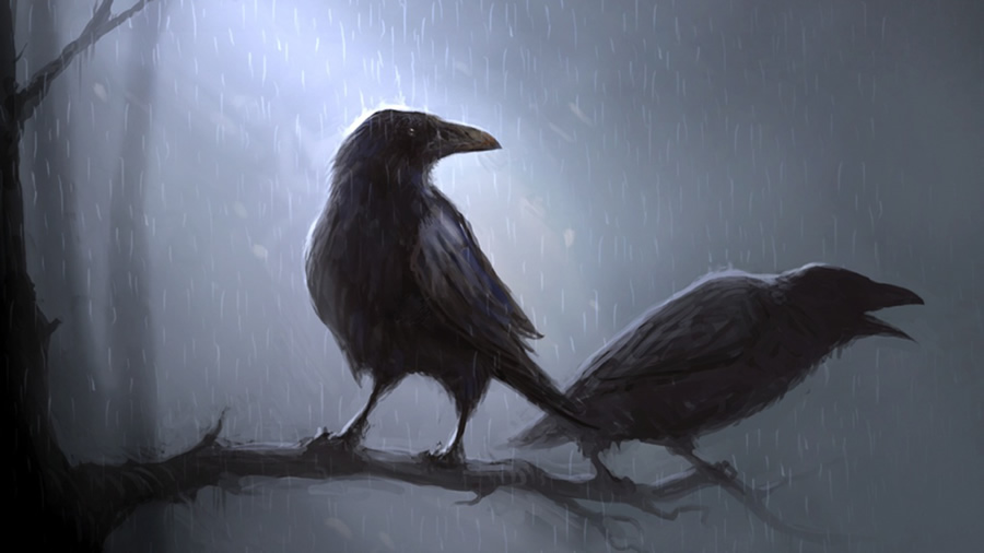 two crows