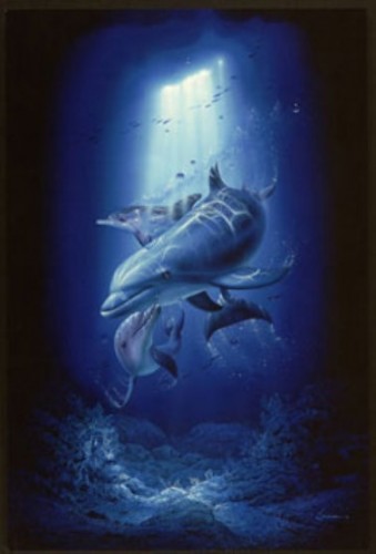 The Best Surfers in the World”: The Art of Christian Riese Lassen