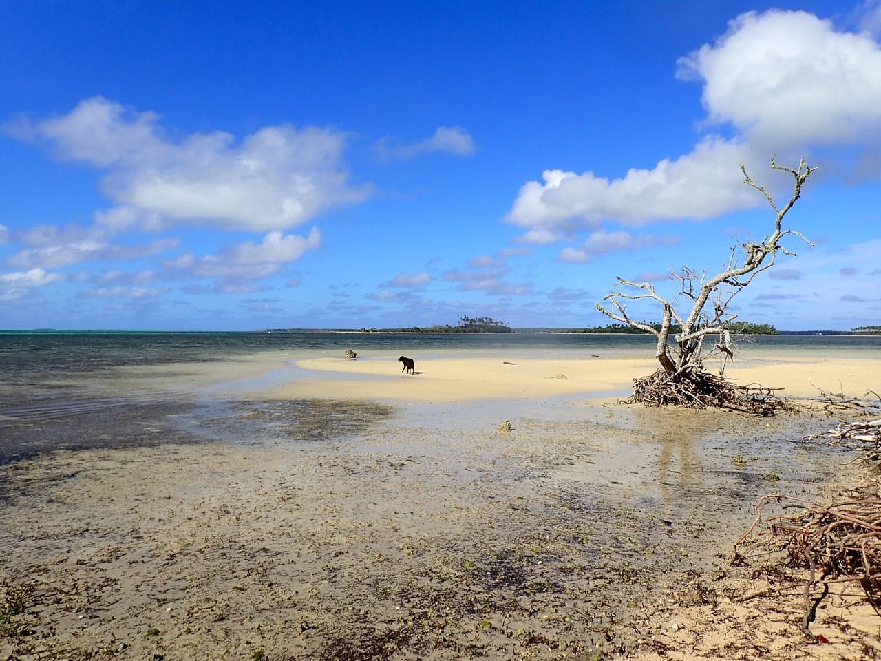 Pangaimotu Island Resort