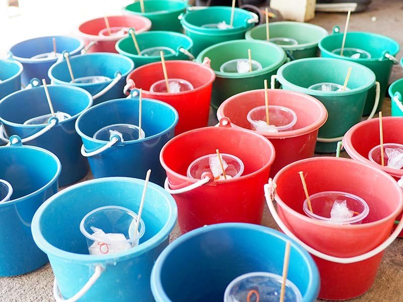 Clam diggin Don Hoi LotClam diggin Don Hoi Lot