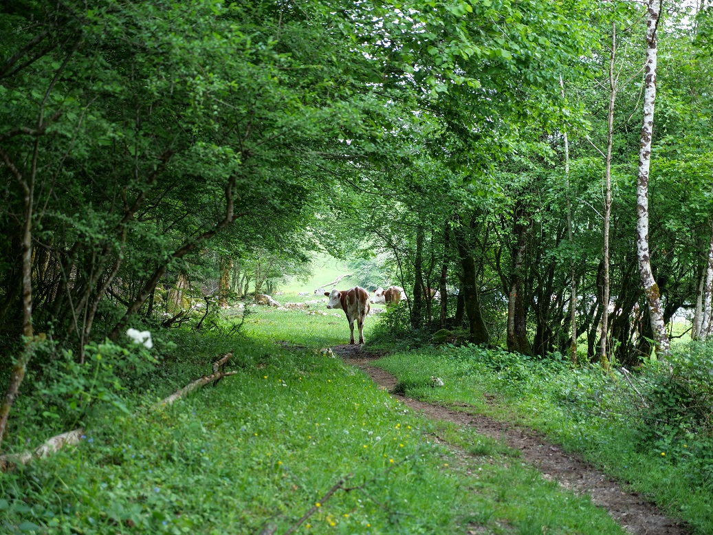 Wanderroute nach St. Ursanne