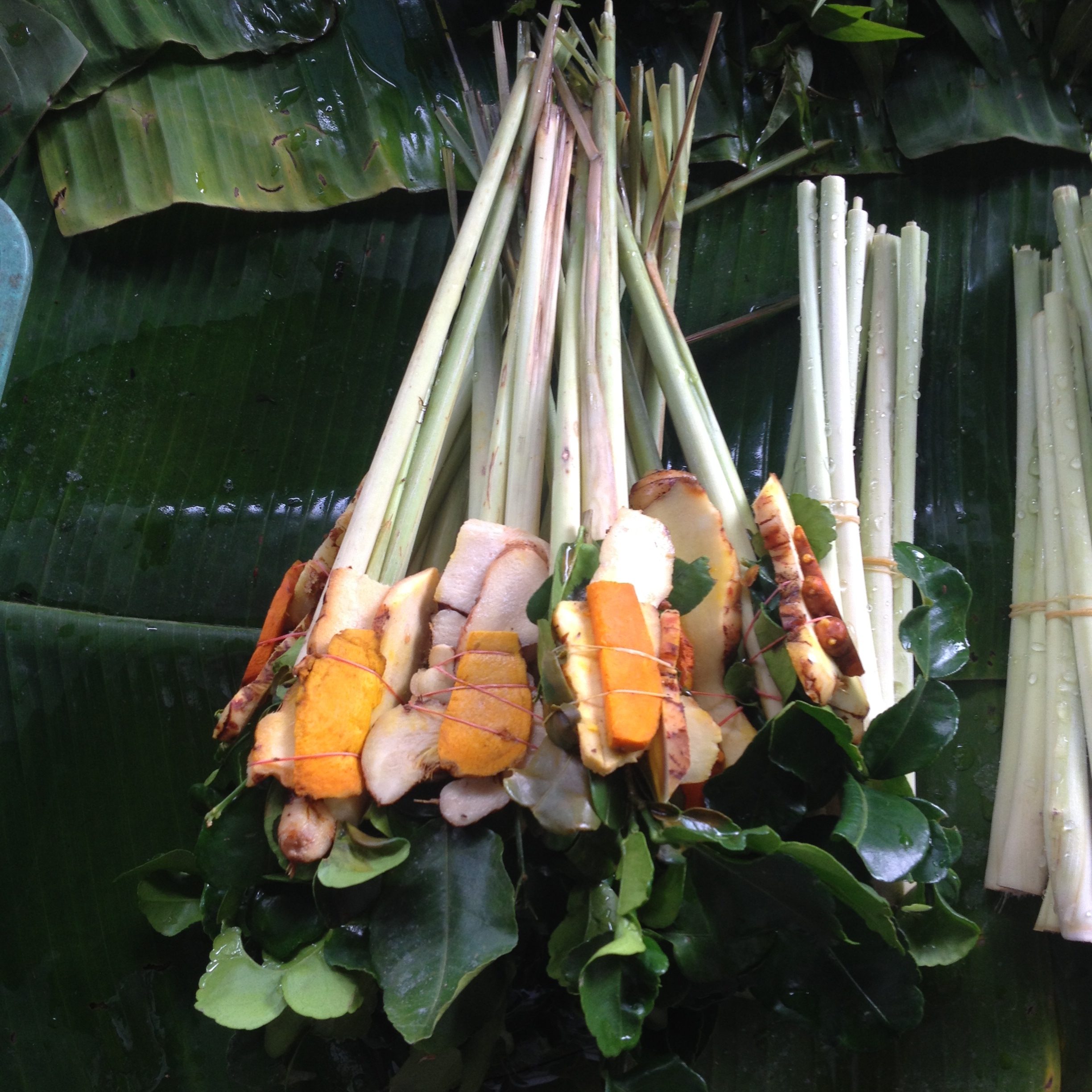 Tom Yum ingredient bouquet
