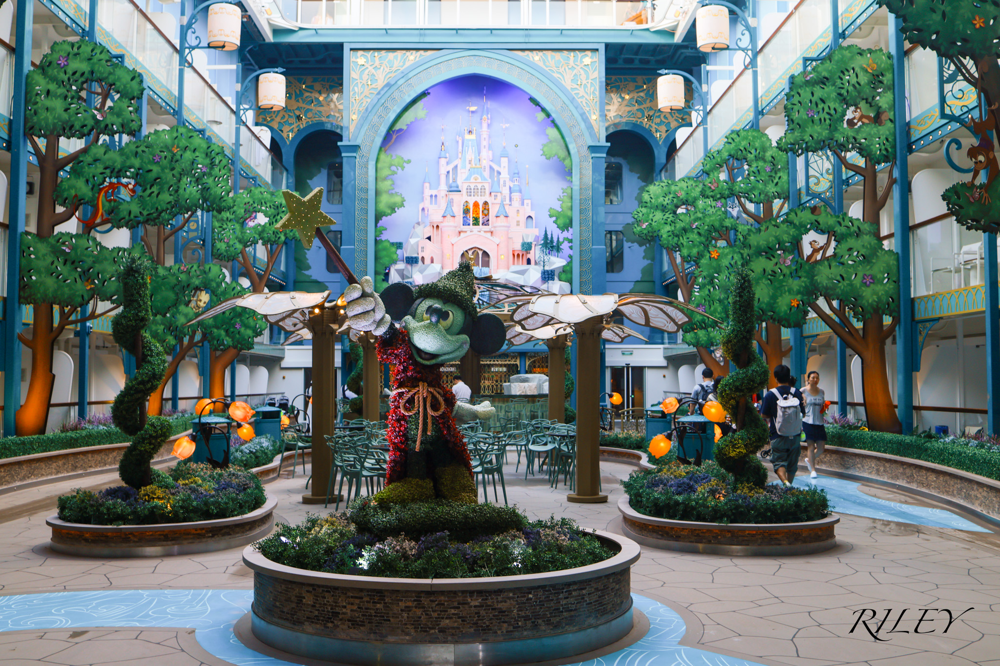 IMG 5382.webp