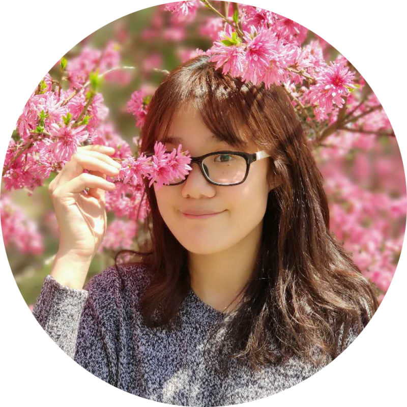 Mengdi Mengdi Zhang Github - Ultra HD Vintage Image - HD