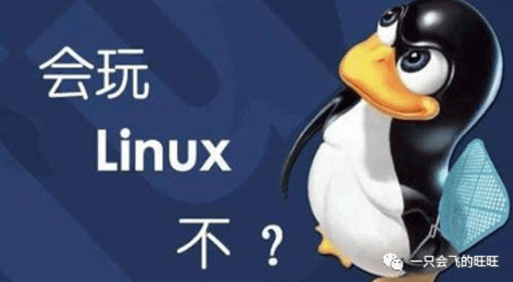 image-20230301201531956