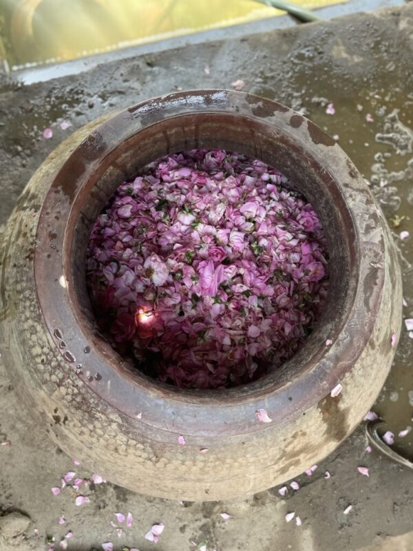 這張圖片的 alt 屬性值為空，它的檔案名稱為 Roses-in-Copper-Deg-before-distillation-begins-768x1024-2-600x800.jpg