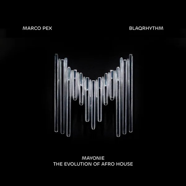 Mayonie &ndash; Break Ft Privacii & Agnobays