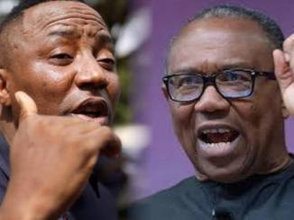 The Same Sowore Who Lives Off Donations and Fundraising Every Election Year Is Attacking Peter Obi?