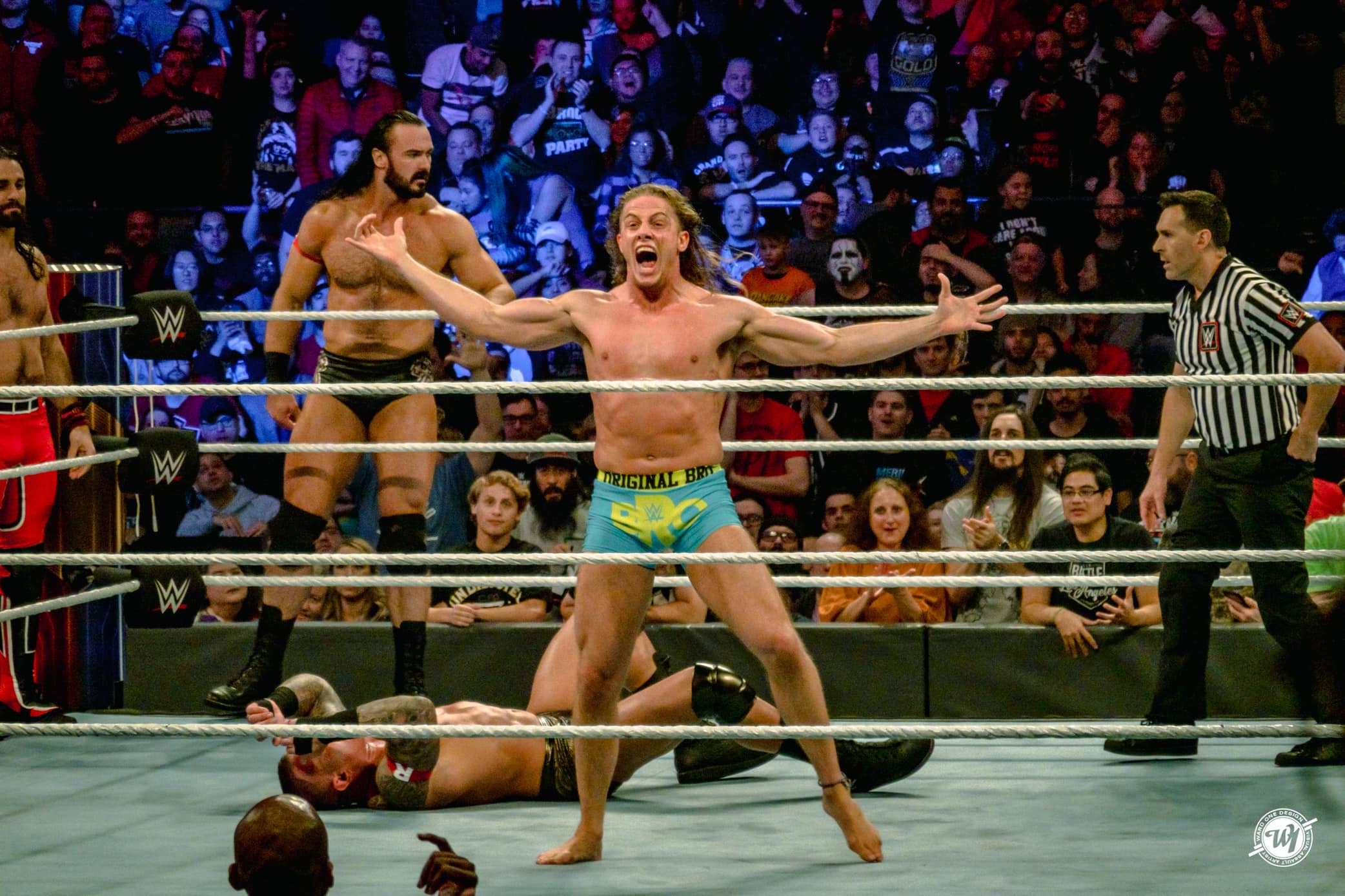 WWE Survivor Series