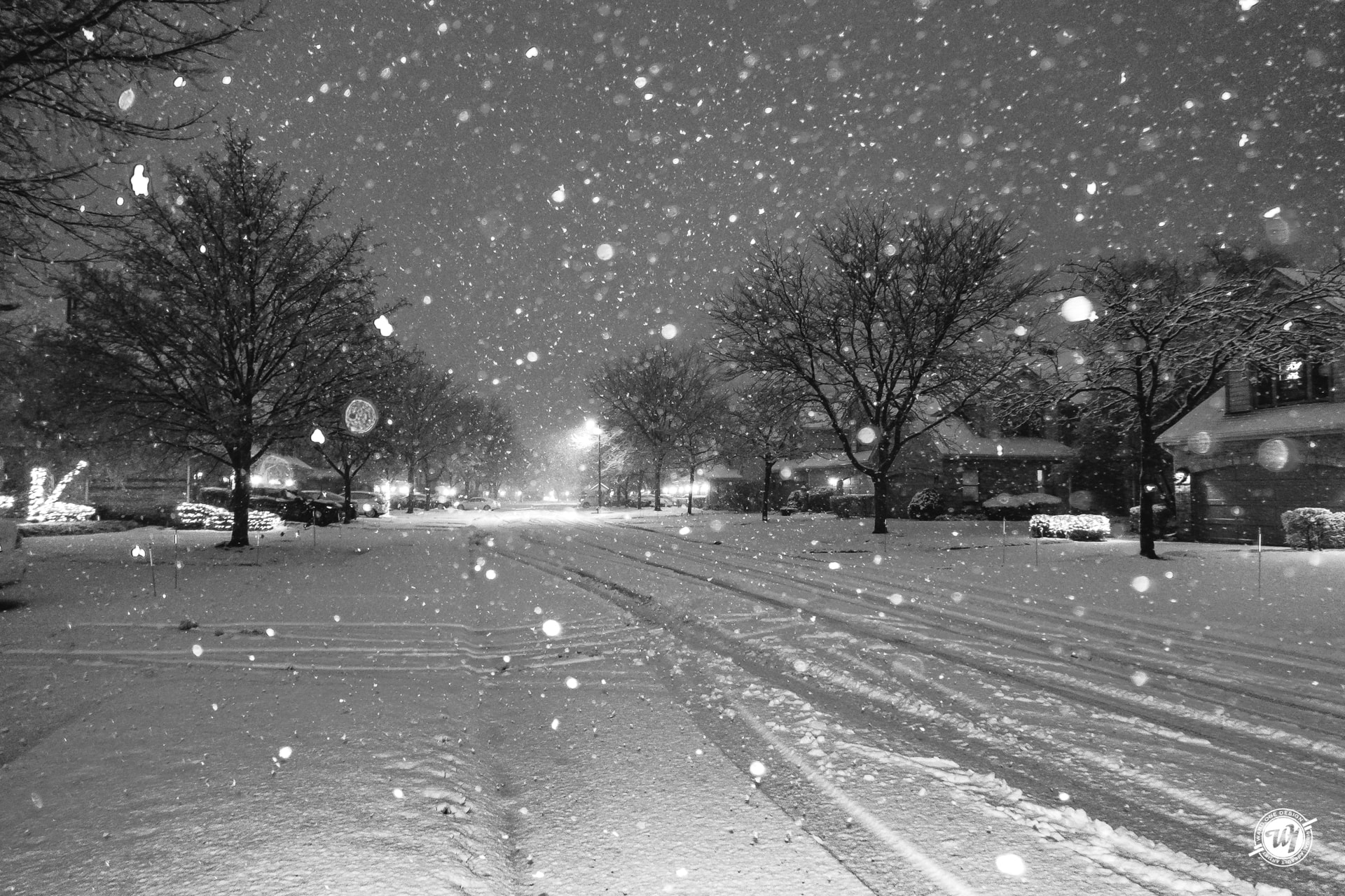 Bloomingdale Blizzard 2018