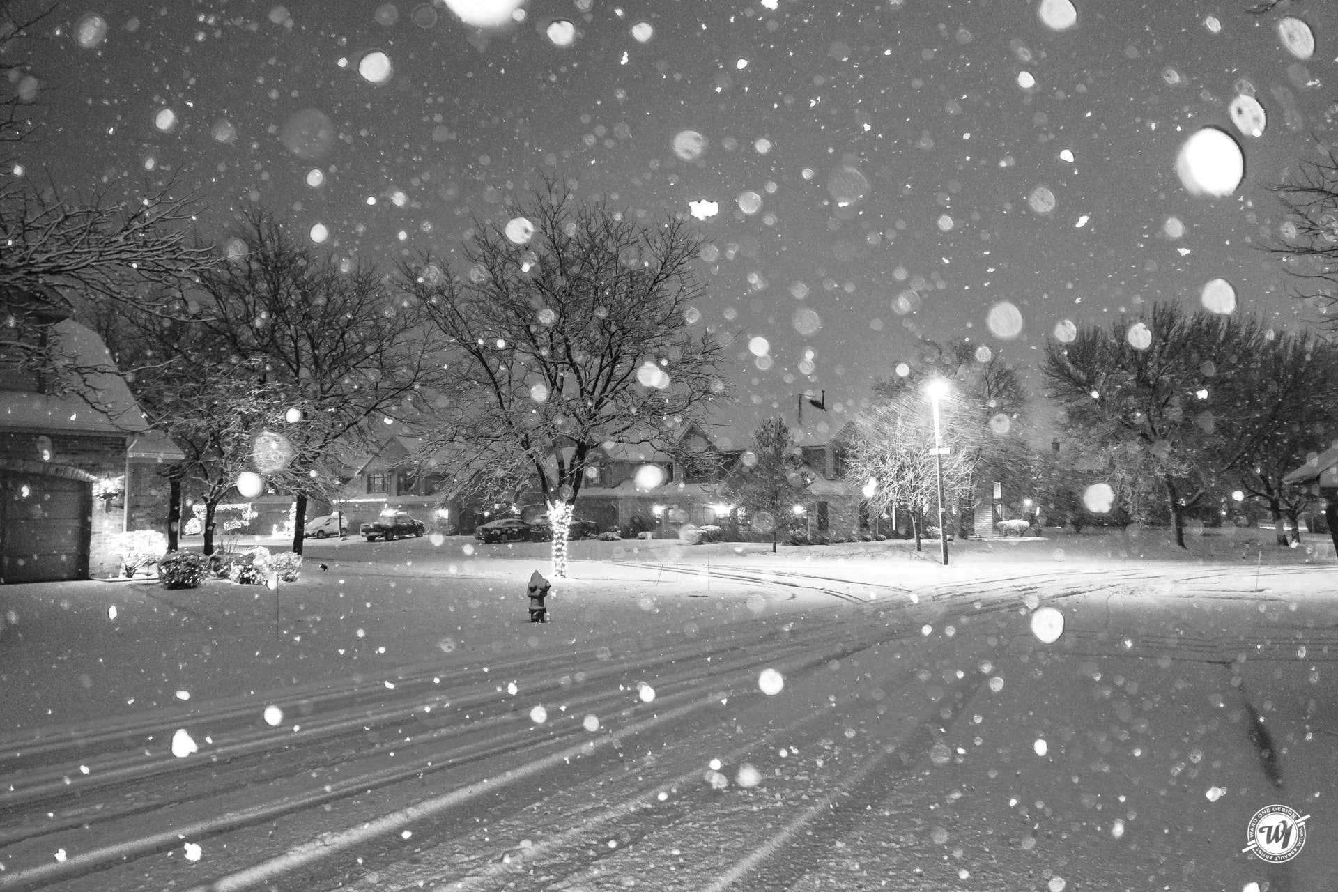 Bloomingdale Blizzard 2018