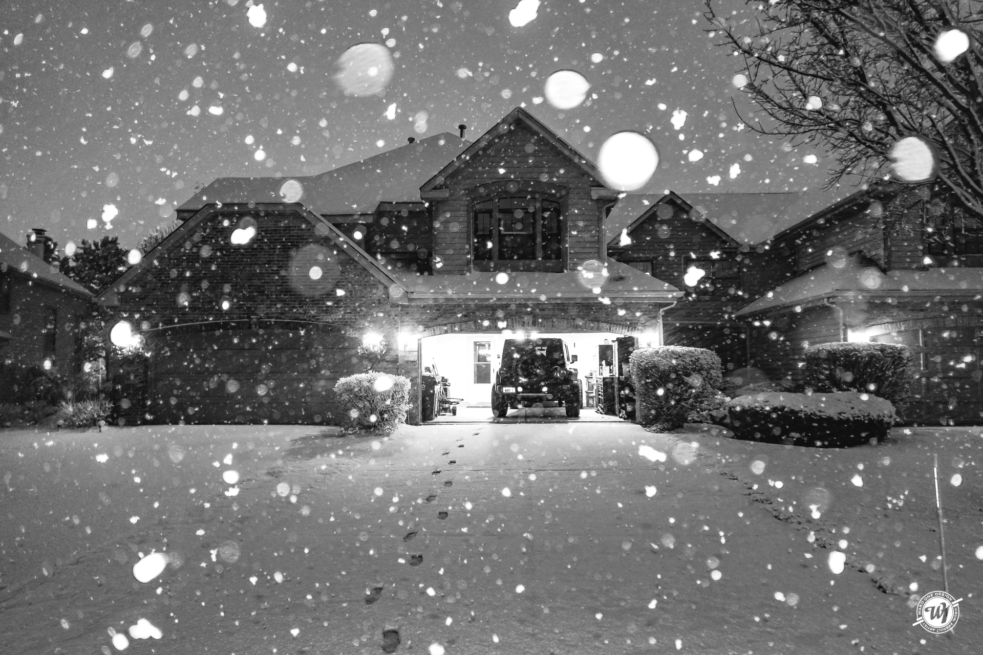 Bloomingdale Blizzard 2018