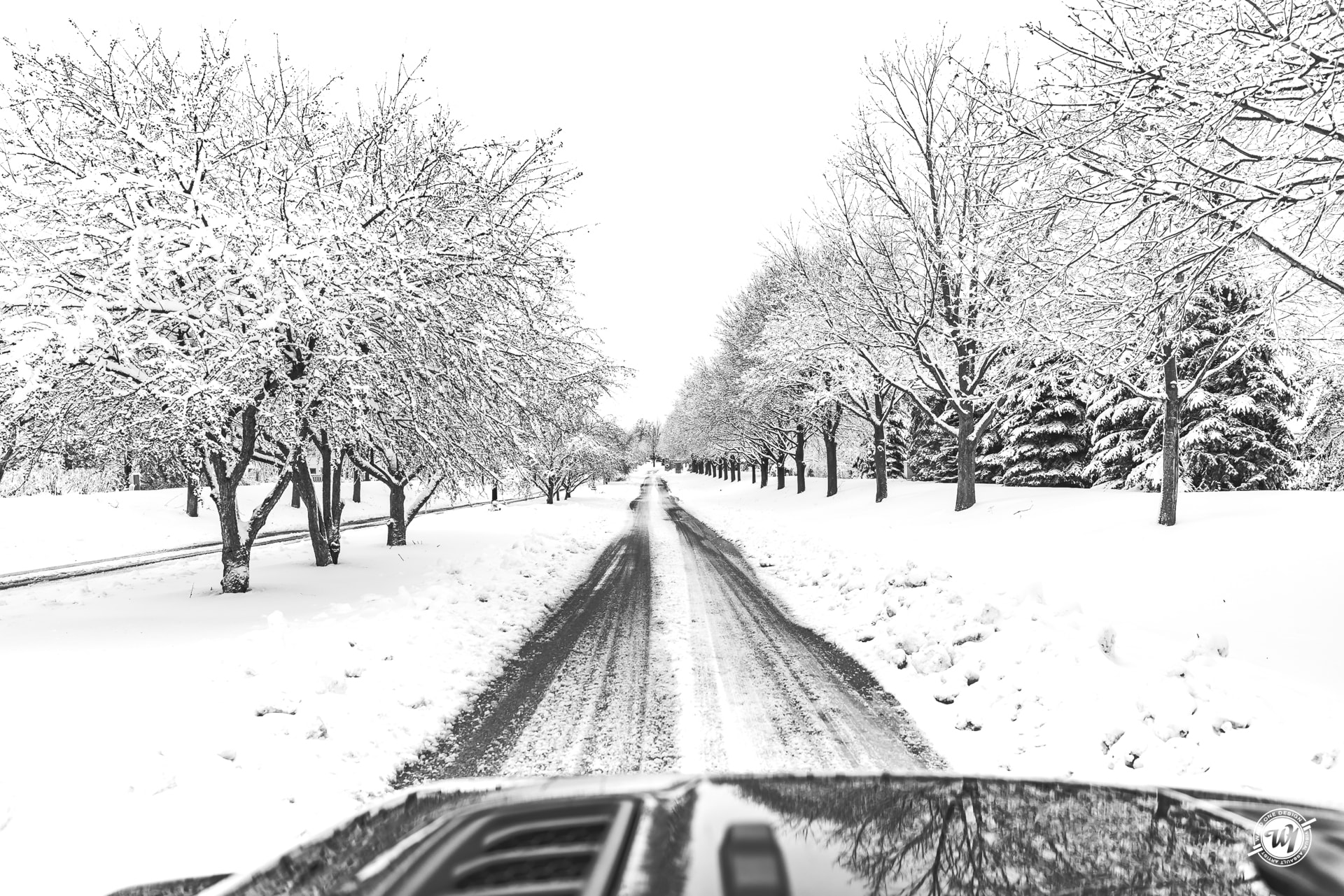 Bloomingdale Blizzard 2018