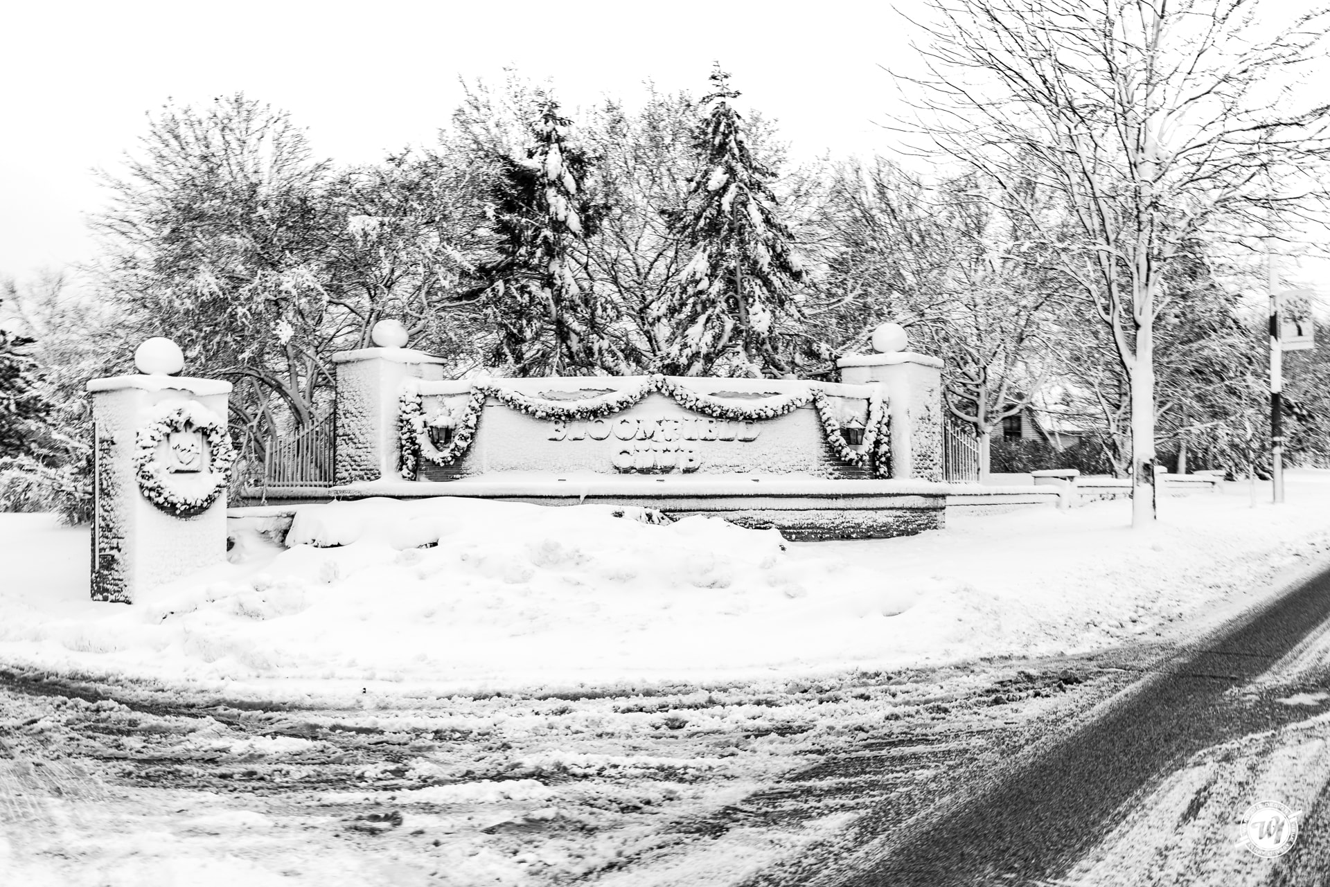 Bloomingdale Blizzard 2018