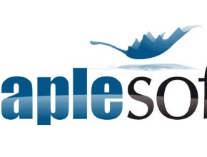 Maplesoft Maple Crack