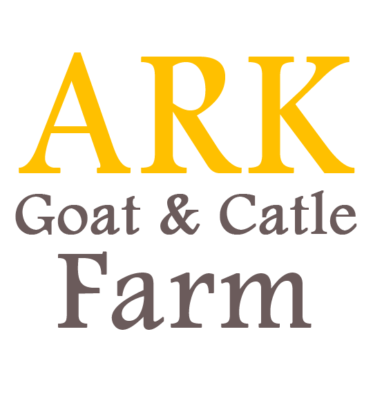 Client-ARK.webp