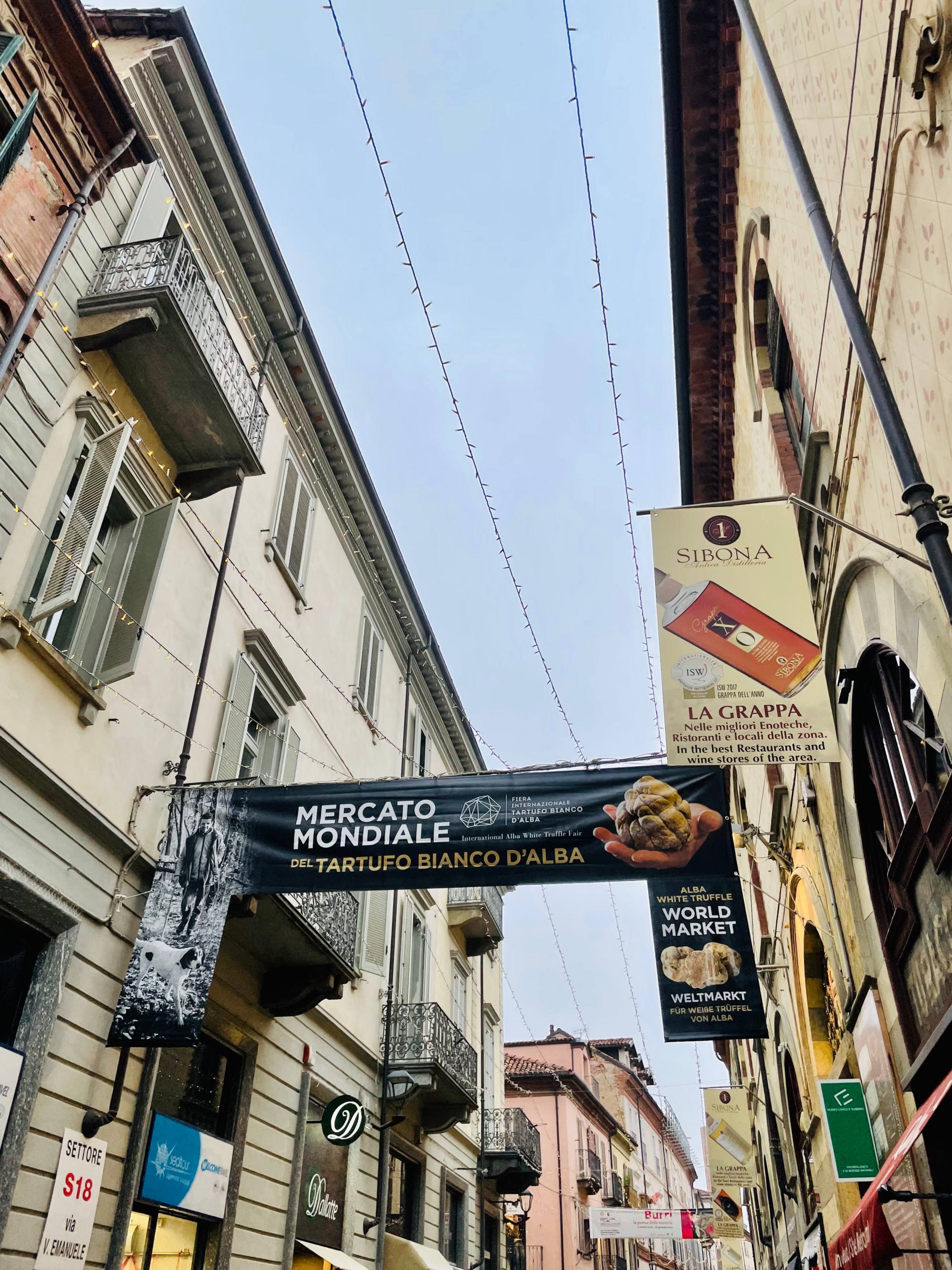 How To Visit Alba's White Truffle Festival In Piedmont, Italy