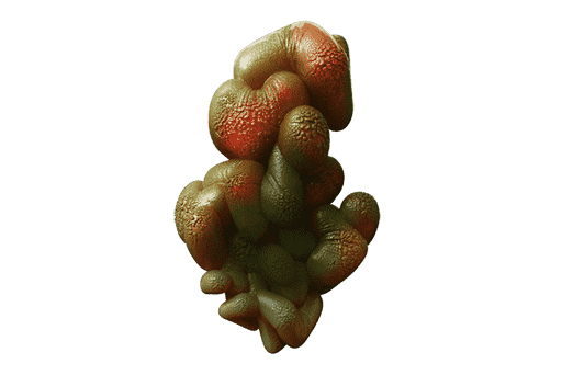 Tubercular gill system