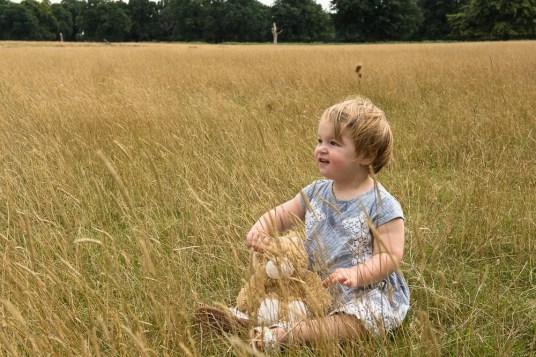 warm-glow-photo-a-10 Toddler girl in Bushy Park, Teddington in autumn photographed by Anna Hindocha/Warm Glow Photo