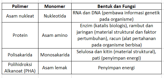 Biopolimer Pengertian Dan Contoh Biopolimer Lengkap