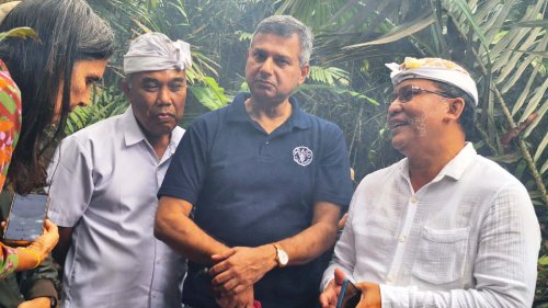 Kadis Pertanian, Pangan dan Perikanan Karangasem, I Nyoman Siki Ngurah (paling kanan) saat mendampingi Tim FAO melakukan penilaian Salak Sibetan agar bisa masuk menjadi warisan dunia.
