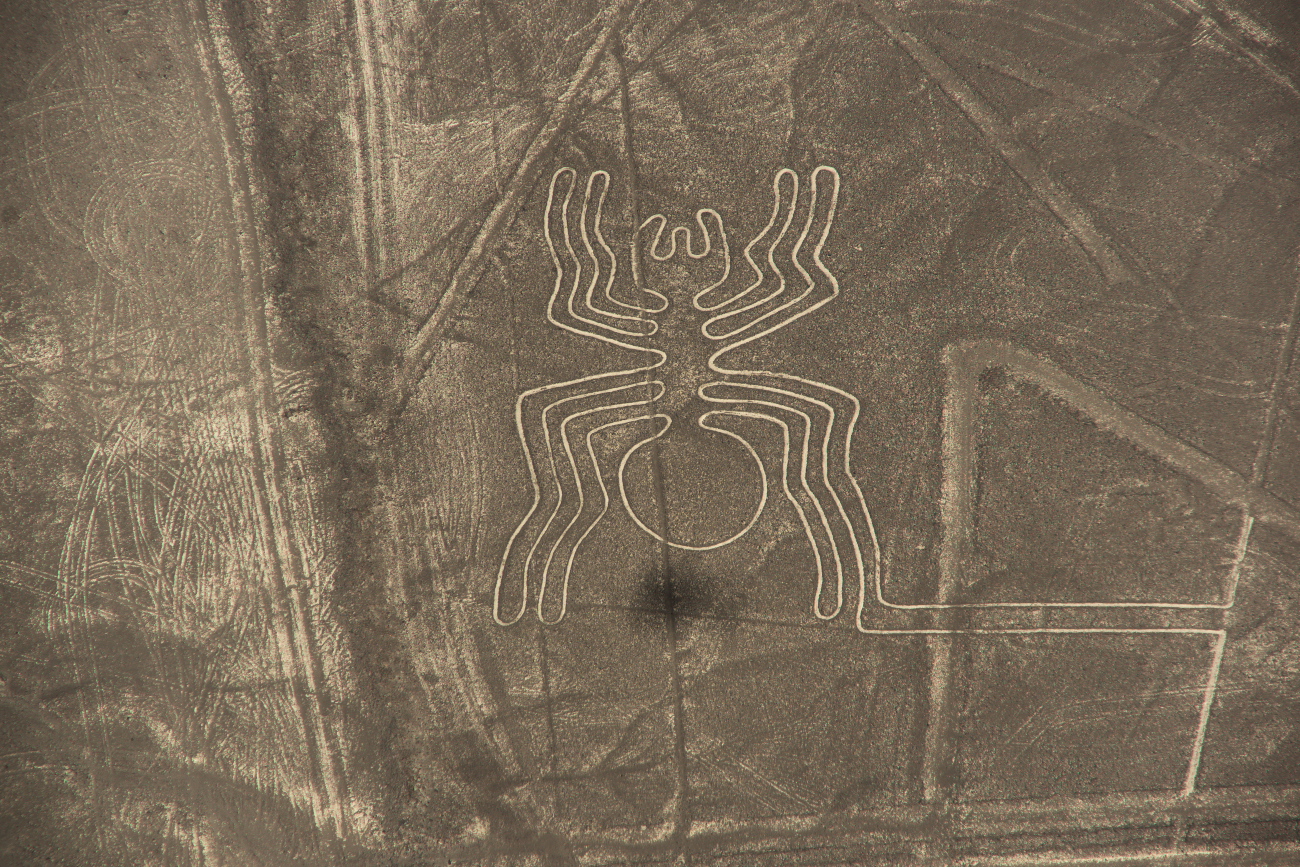 ペルー】世界遺産「ナスカの地上絵」を空からも地上からも！(2019年9月