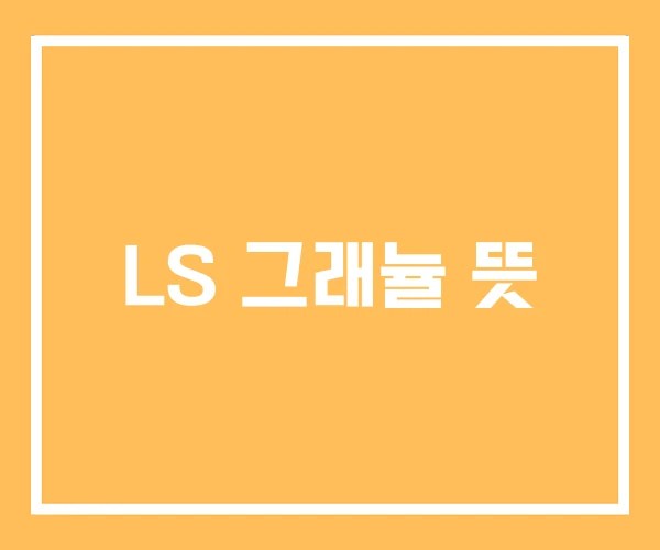 LS 그래뉼 뜻
