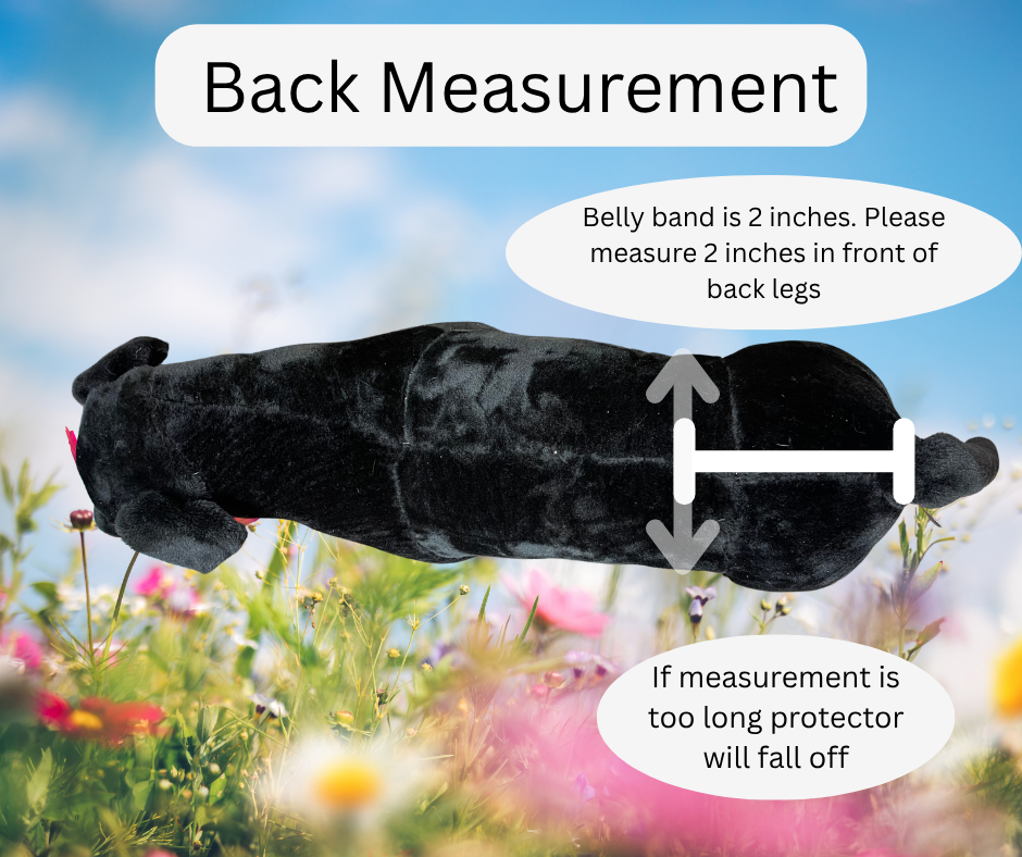 Measuring a dog's back for a custom dog tail protector