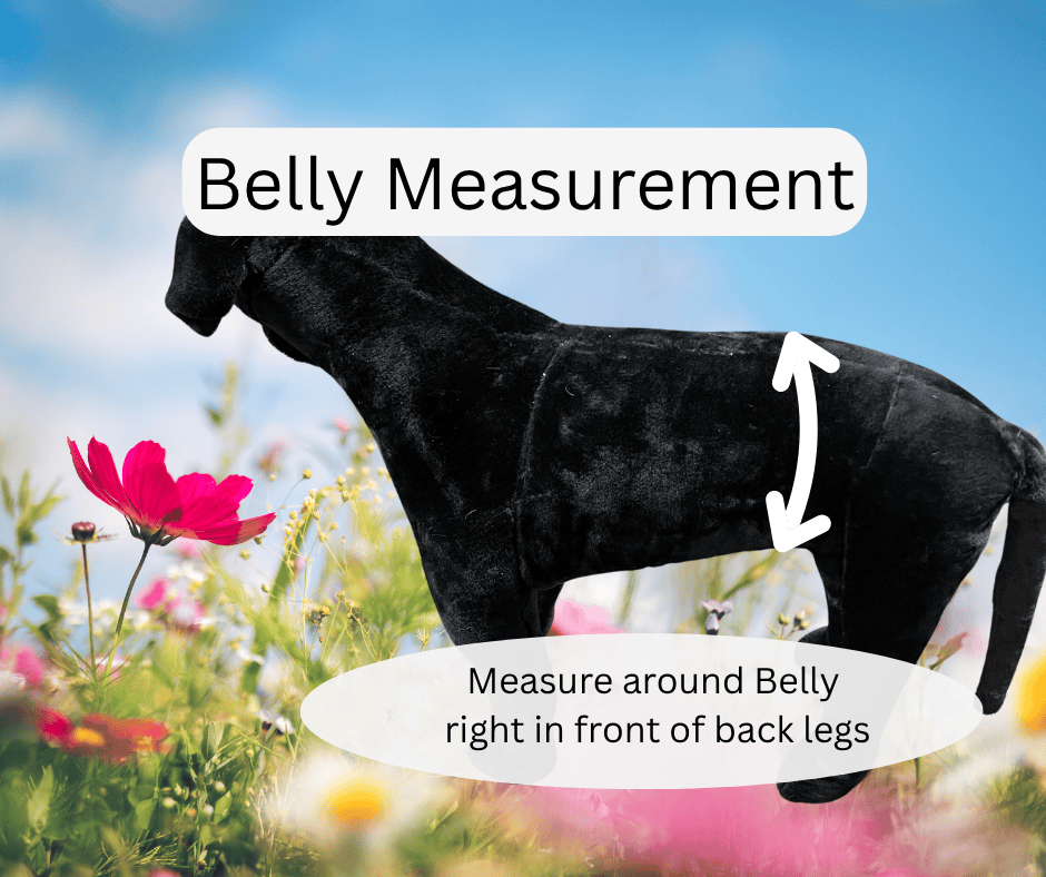 Cat measuring illustration