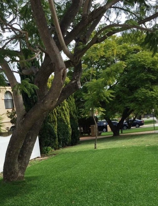 Green lawn with submersible water bore Applecross
