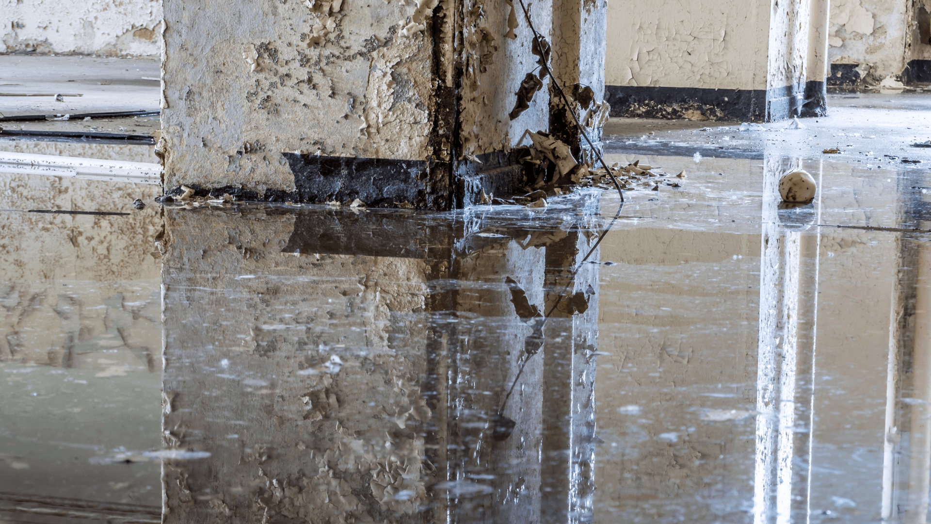 Water Damage Flood WDZ
