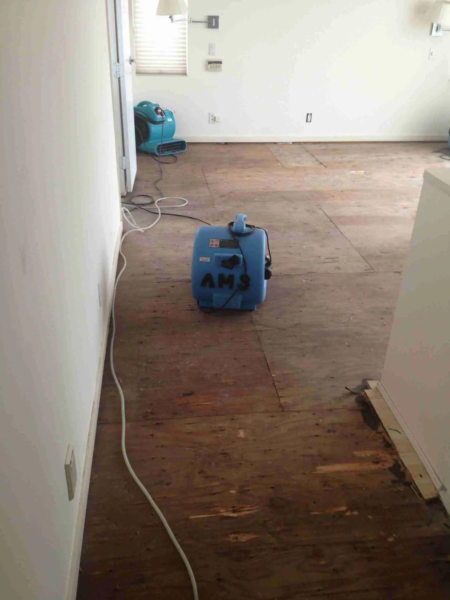 Water Flood Clean Up