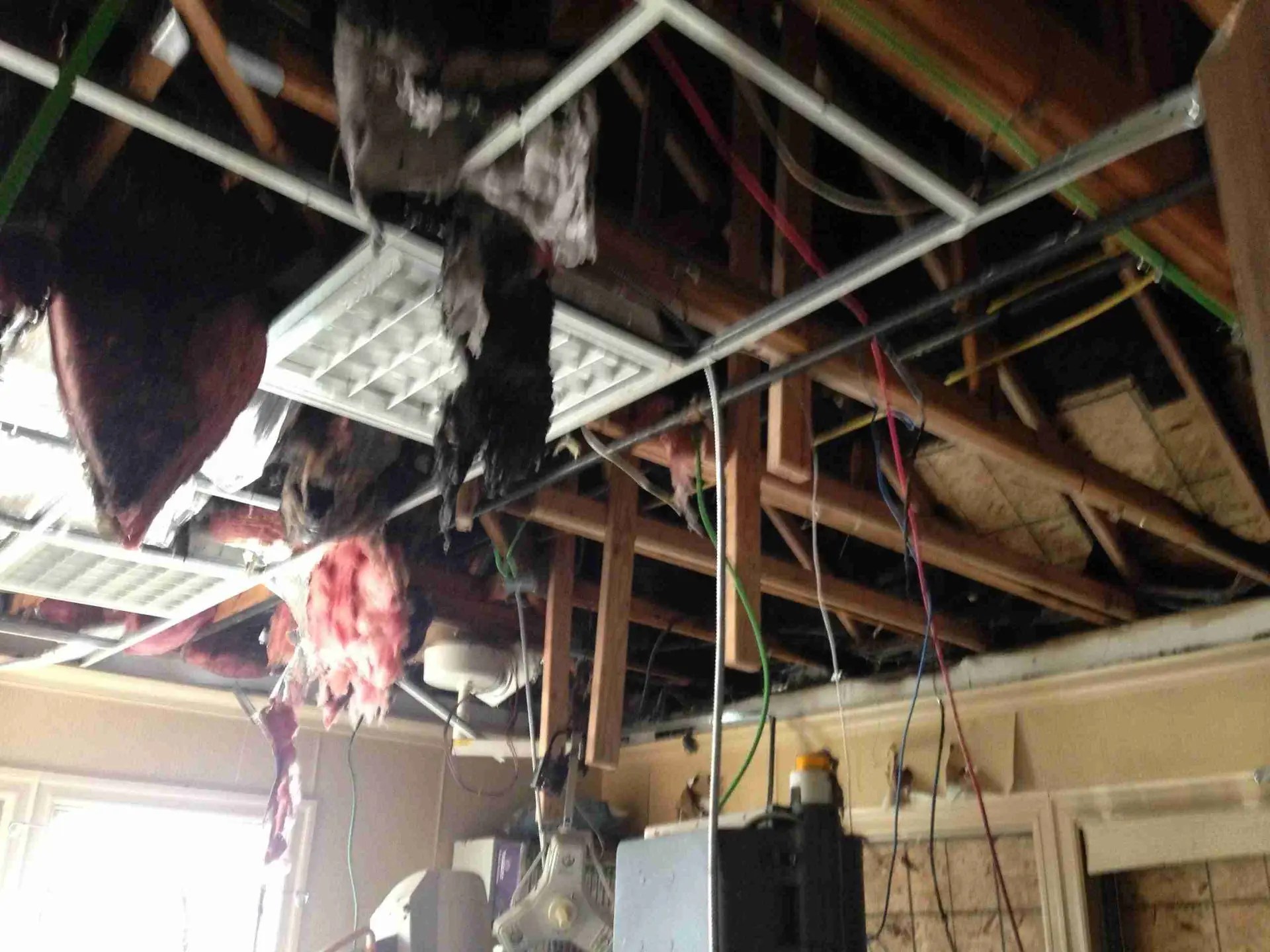 Massapequa New York Property Damage