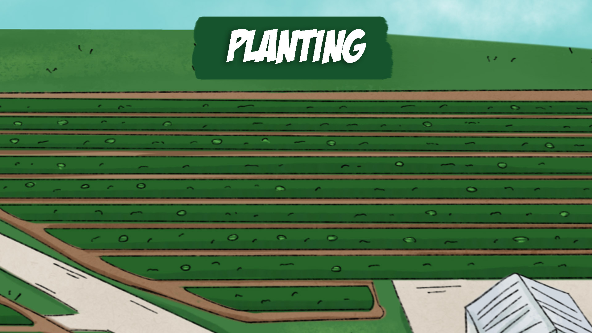 Planting - Watermelon Field Trip