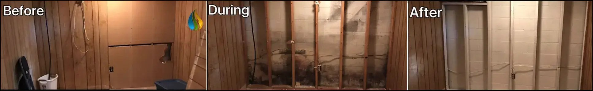 Here is the definitive list of miami's mold inspectors as rated by the miami, fl community. Mold Removal In Miami Fl Wmf Restoration