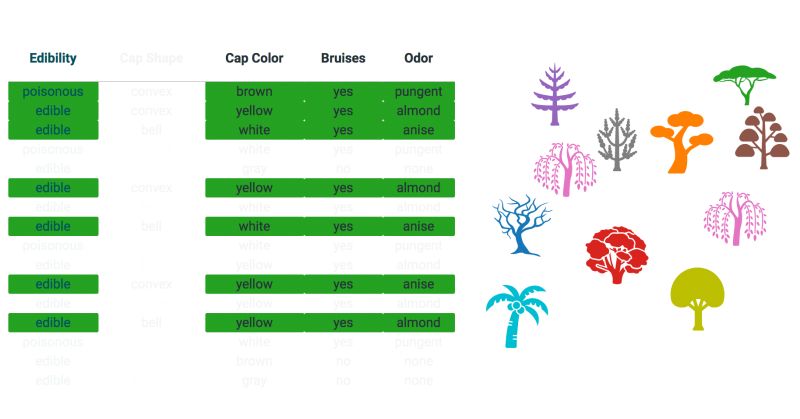Github Aysent Random Forest Leaf Visualization Visualization Of Leaf - Beautiful Light Picture - Retina