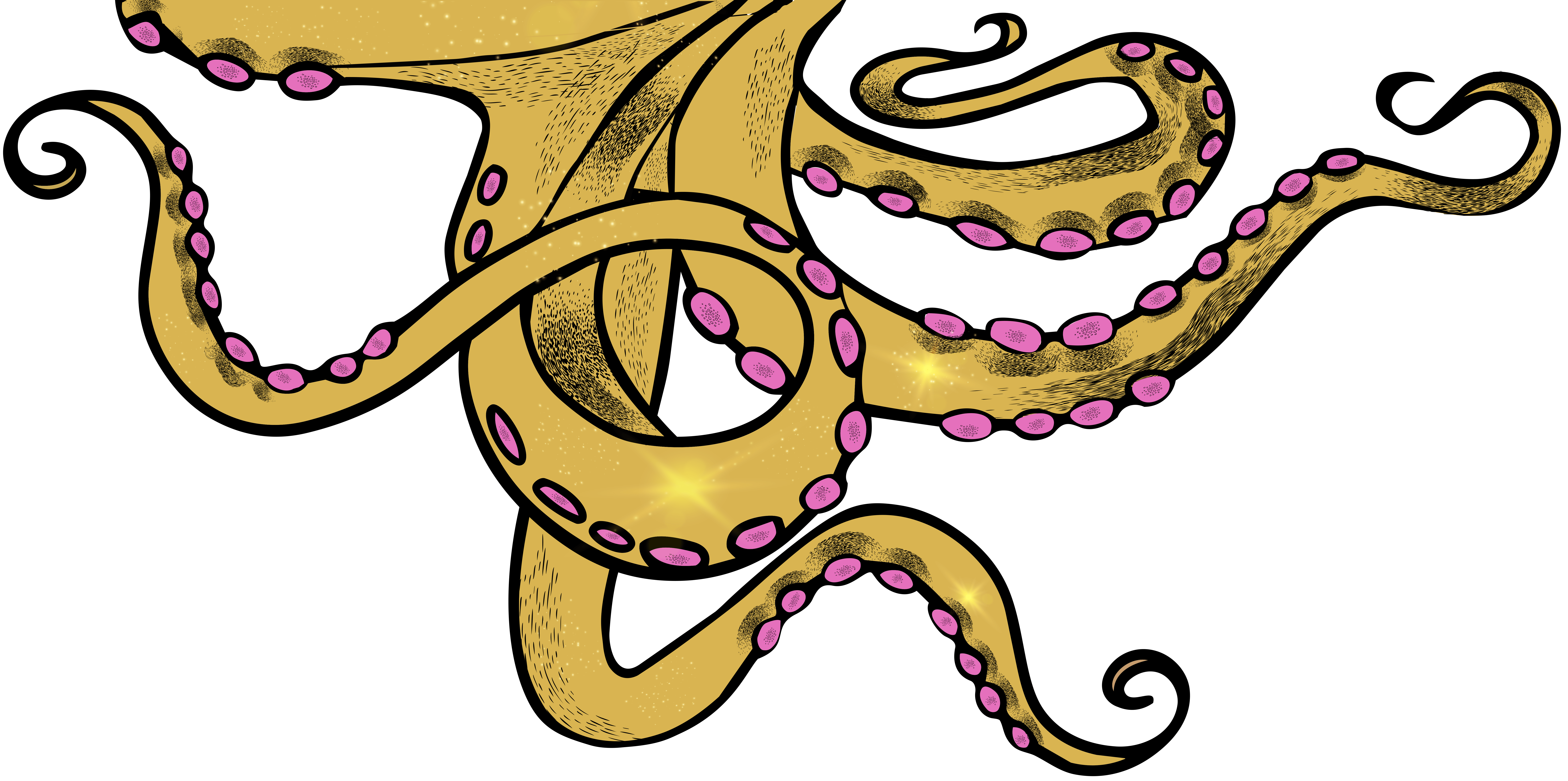 Octopus tentacles