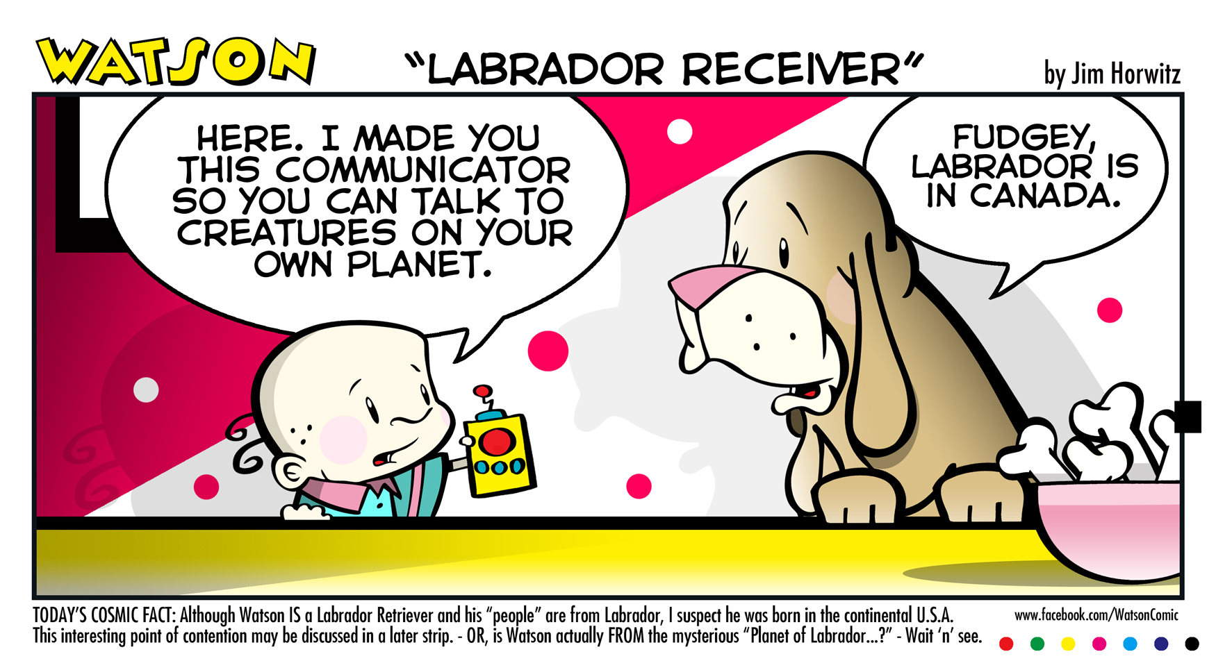 Labrador Receiver, WATSON by Jim Horwitz