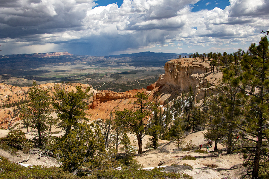 Weekly Climate and Energy News Roundup #554 - Vimarsana News