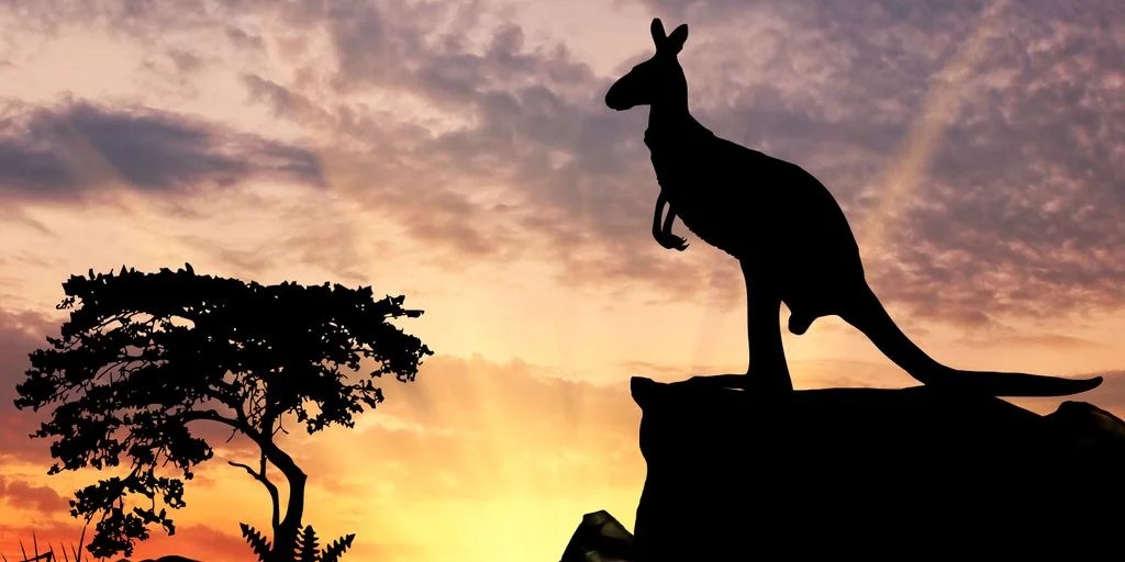 False Energy Transition: The View from Australia (Nick Cater, Menzies Research Centre) - Vimarsana News