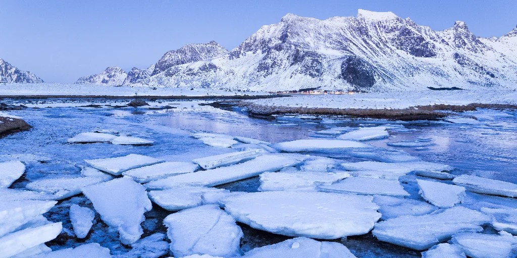 Arctic sea ice: the canary in the coal mine • Watts Up With That? - Vimarsana News
