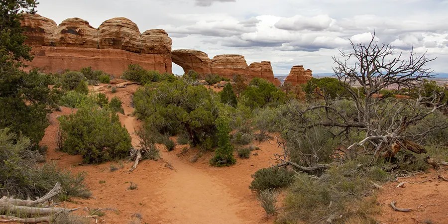 Weekly Climate and Energy News Roundup #593 - Vimarsana News