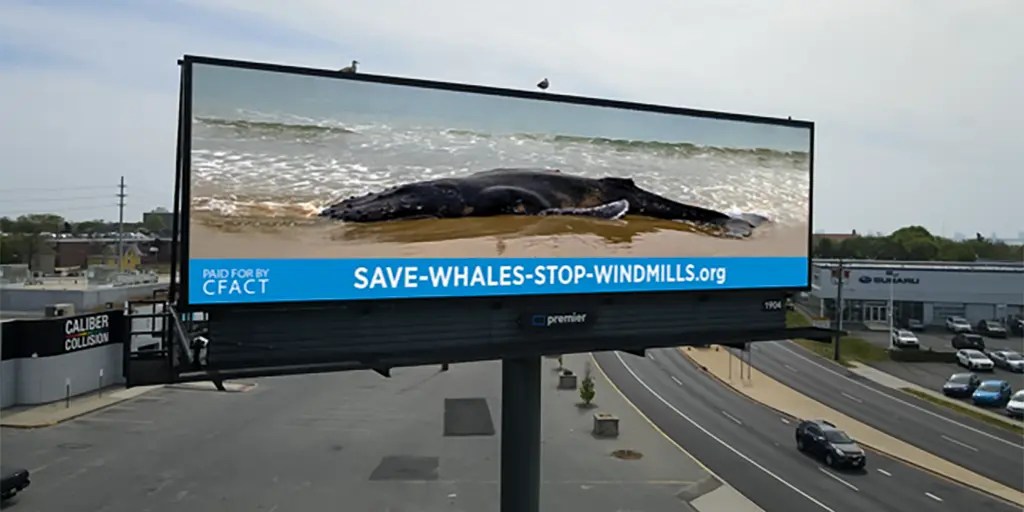 NOAA proposes massively cruel offshore sonar survey • Watts Up With That? - Vimarsana News