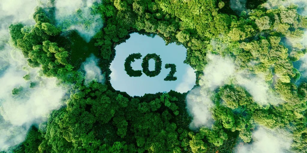 How I Learned to Stop Worrying and Love Carbon Dioxide • Watts Up With That? - Vimarsana News