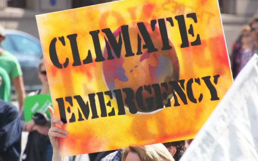 Will Biden and the U.N. Declare a 'Climate Emergency'? Looks like it. • Watts Up With That? - Vimarsana News