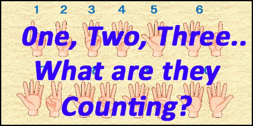 Counting:  Exactly What and Exactly How - Vimarsana News